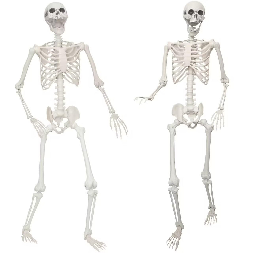 2 Pack 5.4ft Life Size Skeleton with Movable Joints K76899