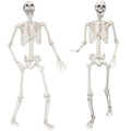 2 Pack 5.4ft Life Size Skeleton with Movable Joints K76899