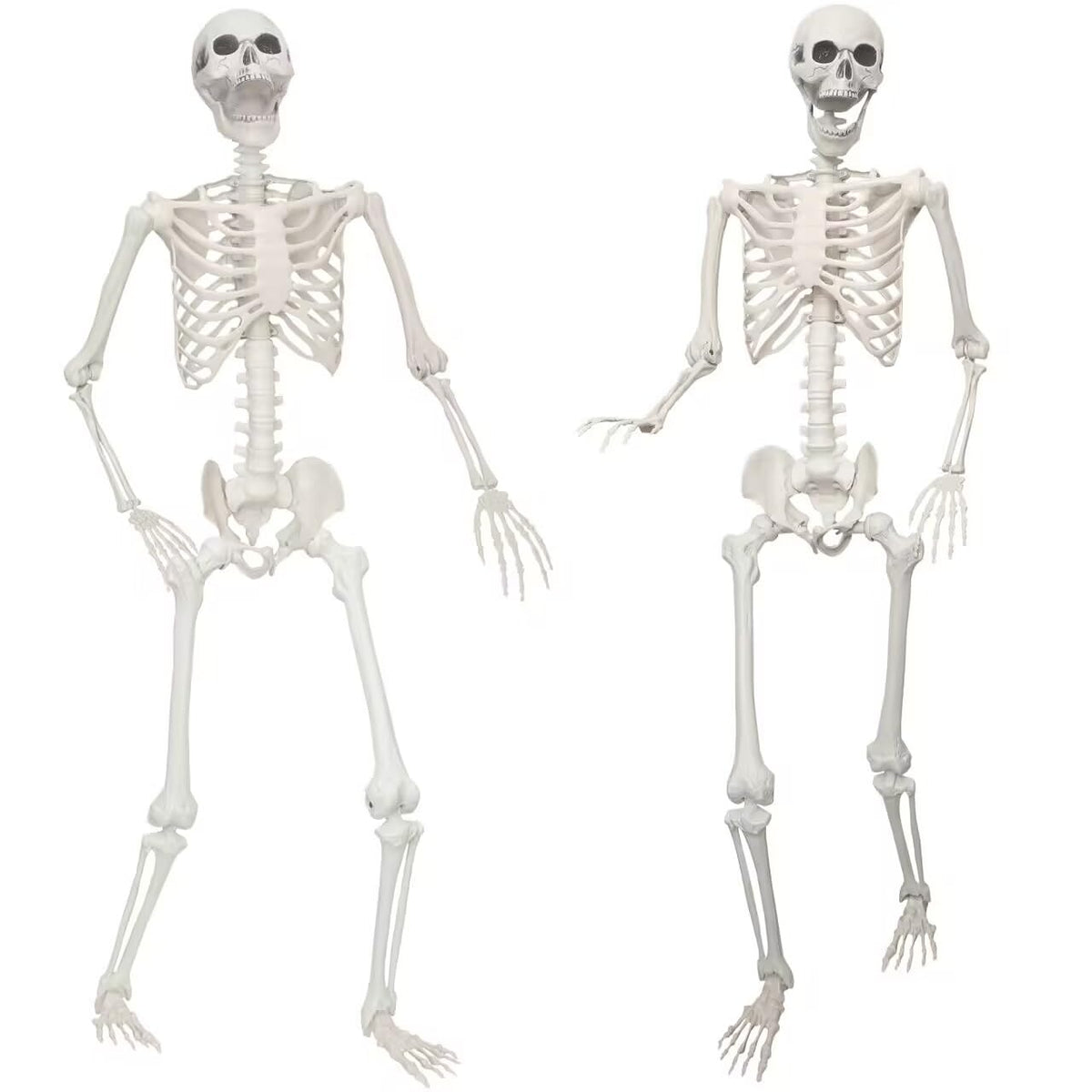 2 Pack 5.4ft Life Size Skeleton with Movable Joints K76899