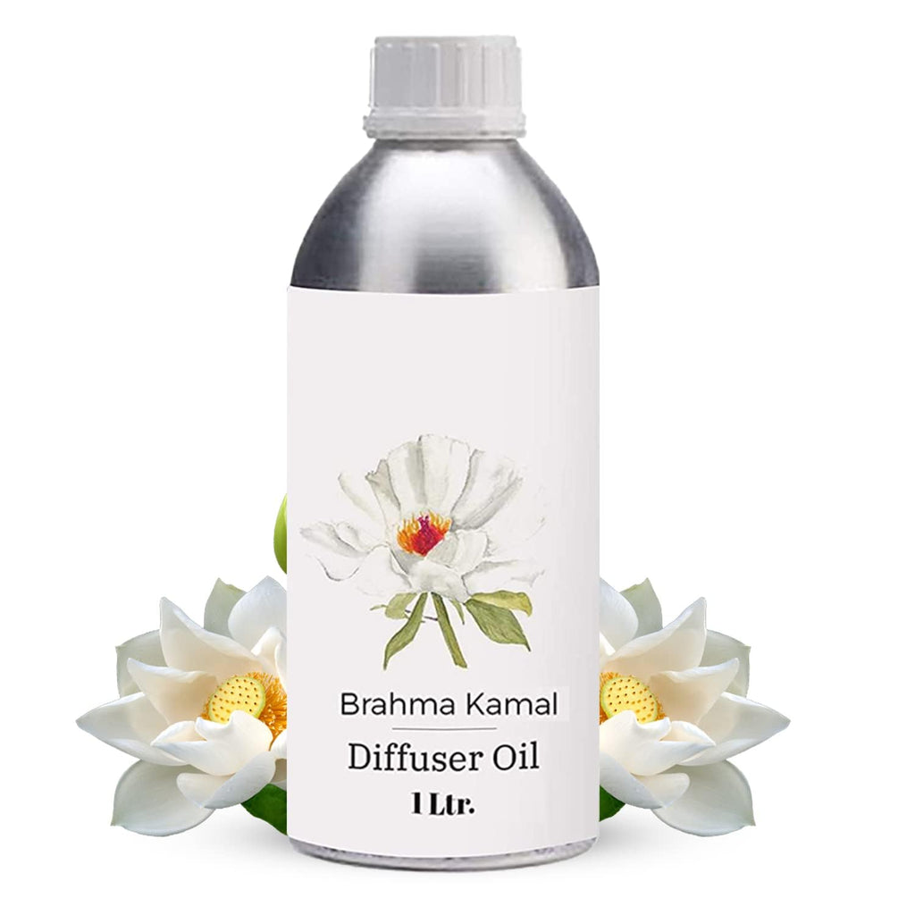 Diffuser Oil 1L K769