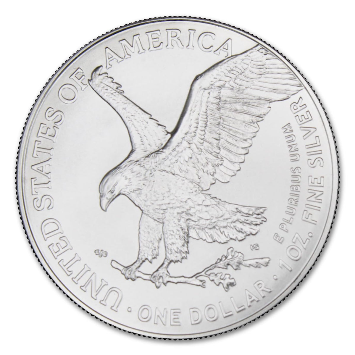 1 oz American Silver Eagle Coins K807621