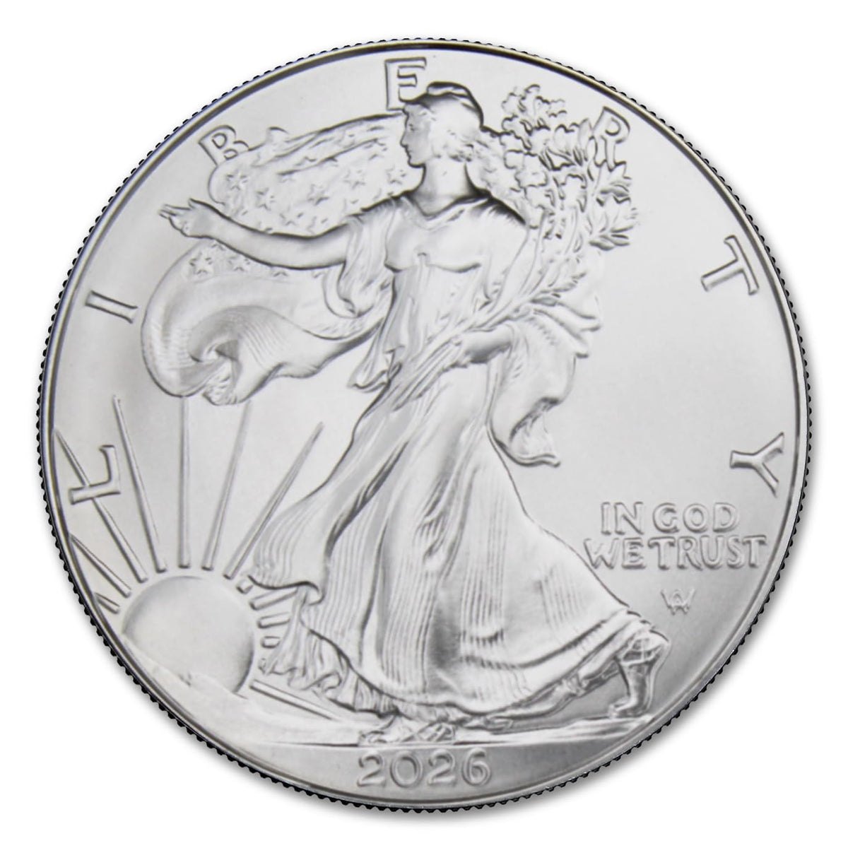 1 oz American Silver Eagle Coins K807621