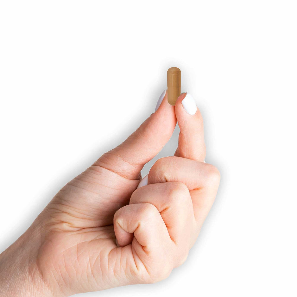 Cinnamon 1000 mg 100 Capsules Herbal Dietary Supplement P1192