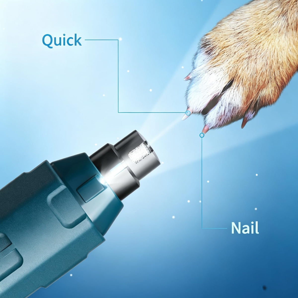 Dog Nail Grinder with 3 Ports, 2 Speeds J701049