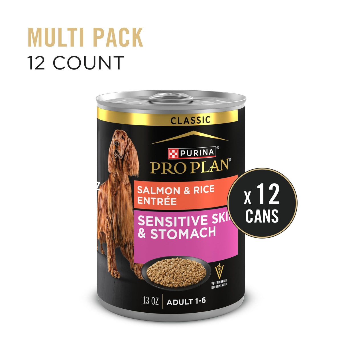 Sensitive Skin & Stomach Wet Dog Food Salmon 13 oz N149