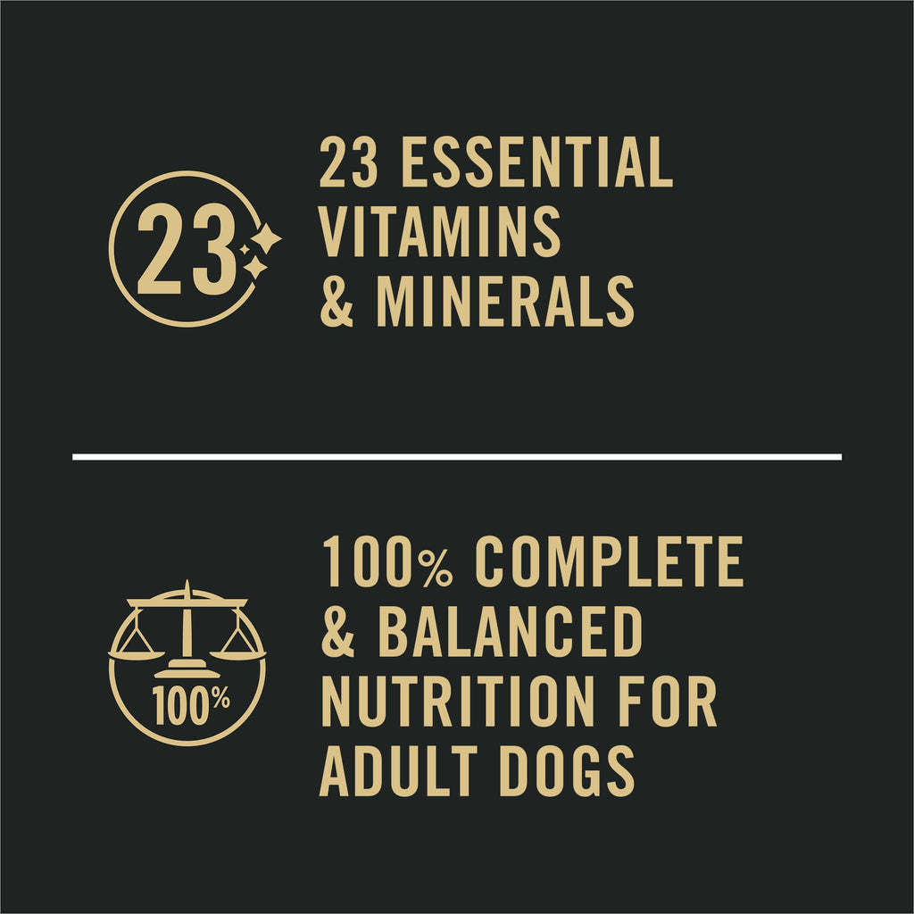 Sensitive Skin & Stomach Wet Dog Food Salmon 13 oz N149