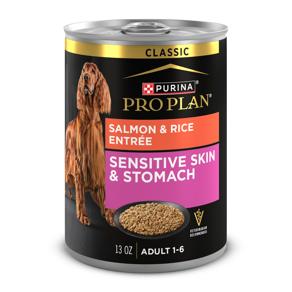 Sensitive Skin & Stomach Wet Dog Food Salmon 13 oz N149