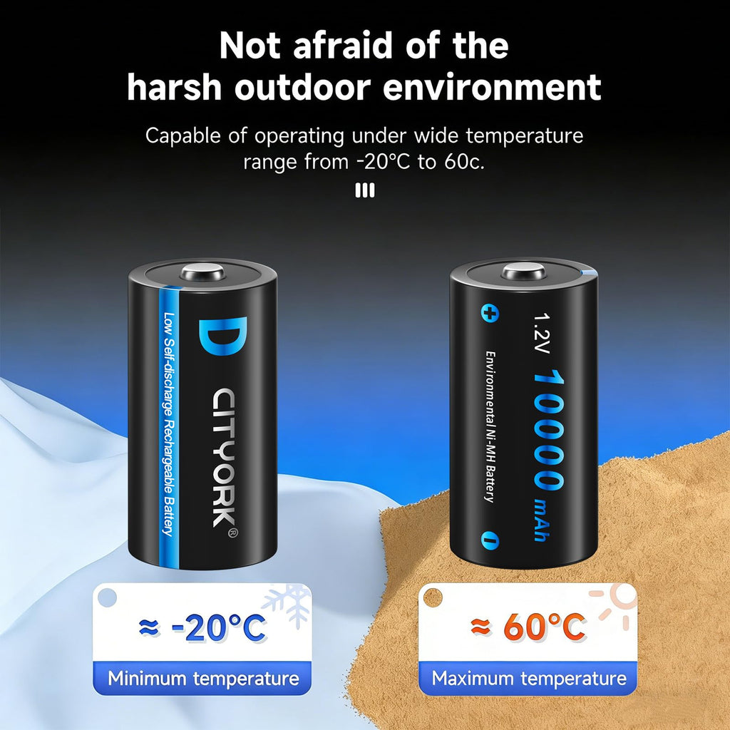 4 Pack Rechargeable D Batteries 10000mAh J852
