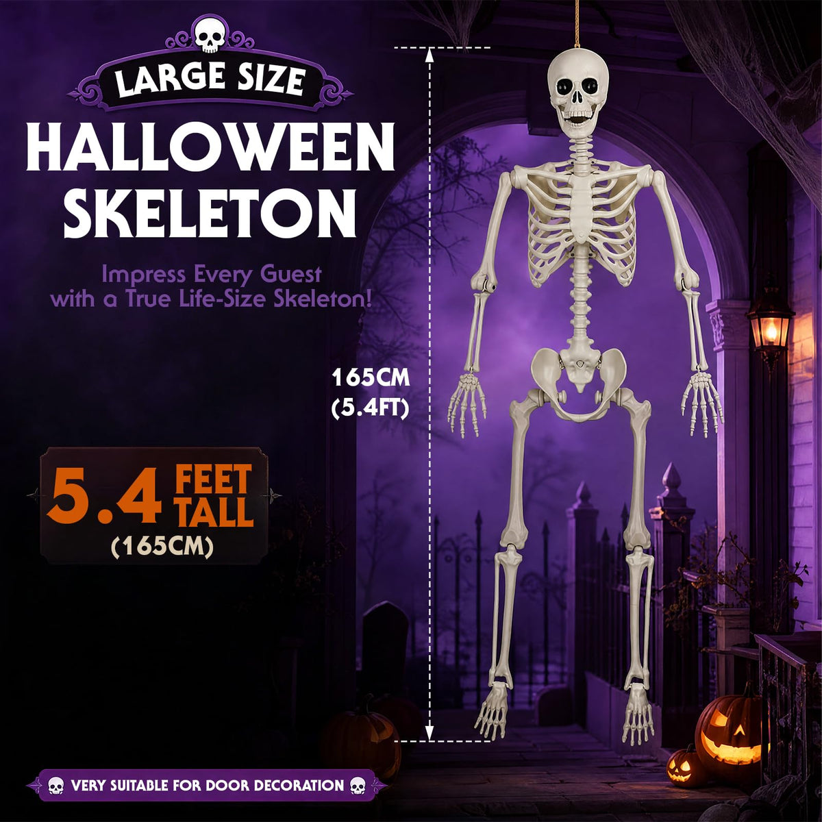 5.4FT Posable Life Size Human Skeleton with Movable Joints C1551