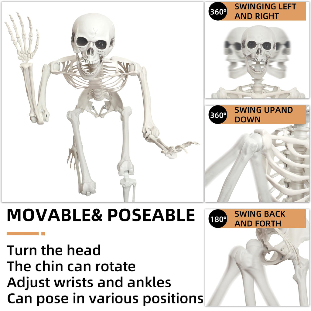 2 Pack 5.4ft Life Size Skeleton with Movable Joints K76899