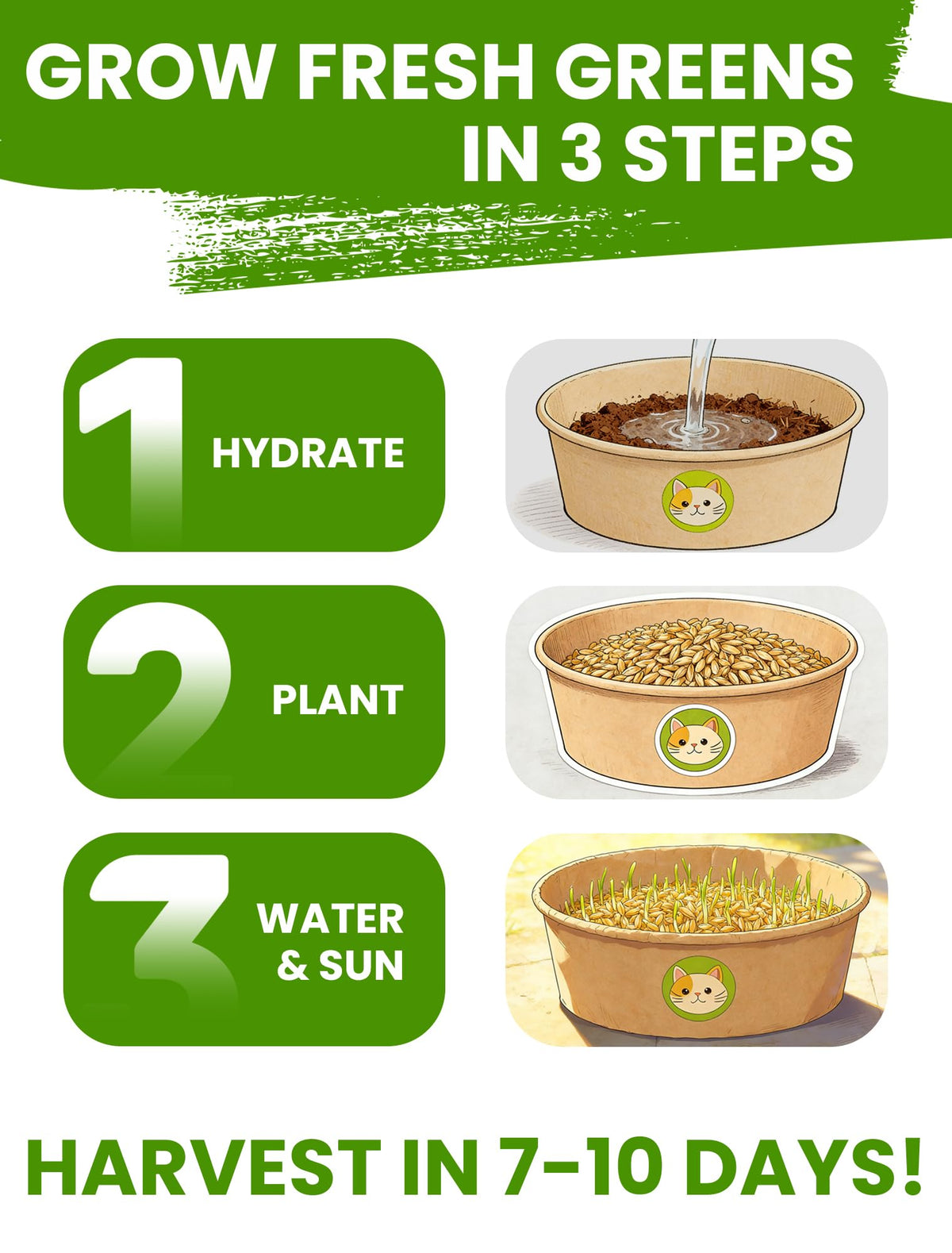 3 Pack Cat Grass Kit with Biodegradable Pots, Soil & Seeds K963383