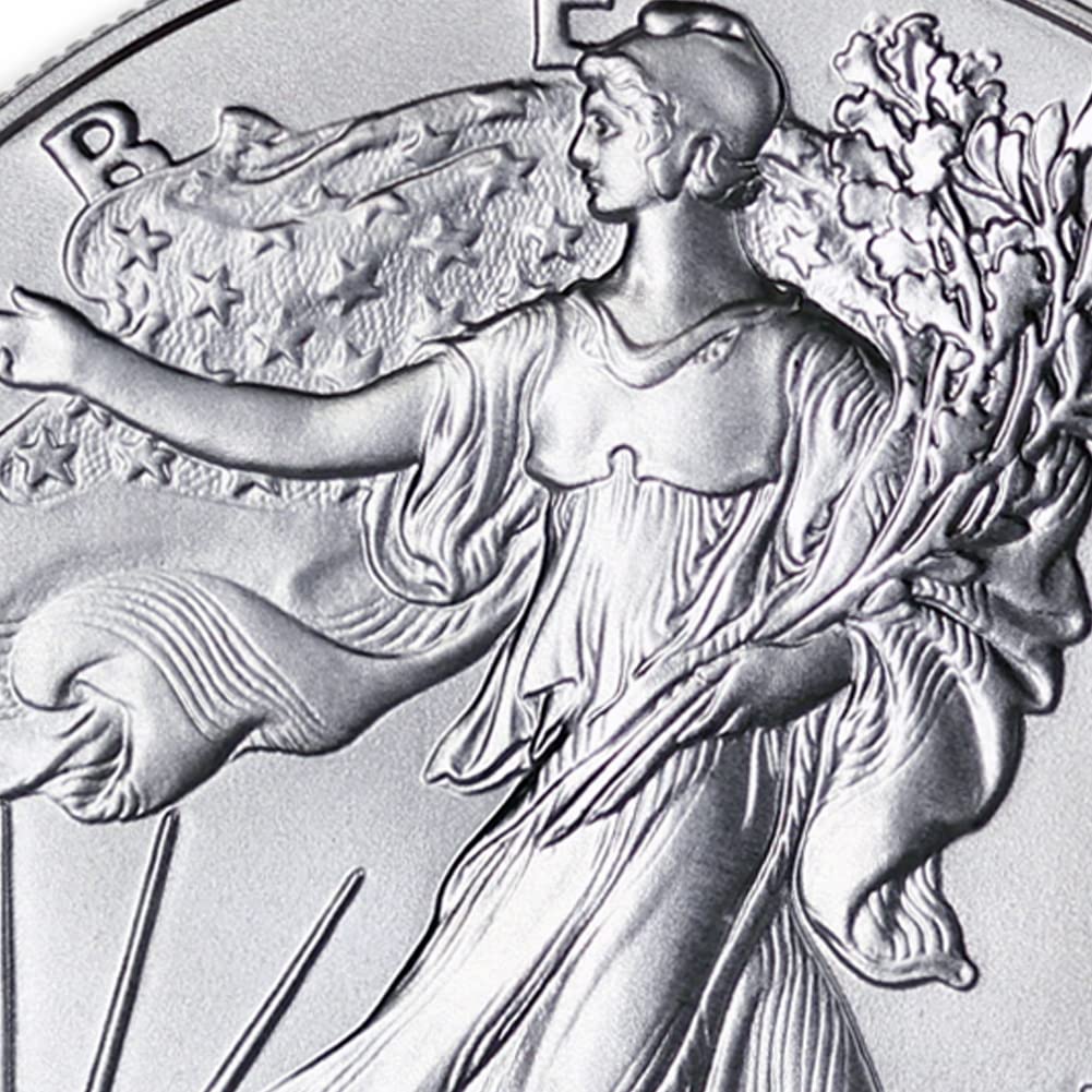 1 oz American Silver Eagle Coins K807621