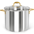 20 Quart Stainless Steel Stock Pot with Lid A82302