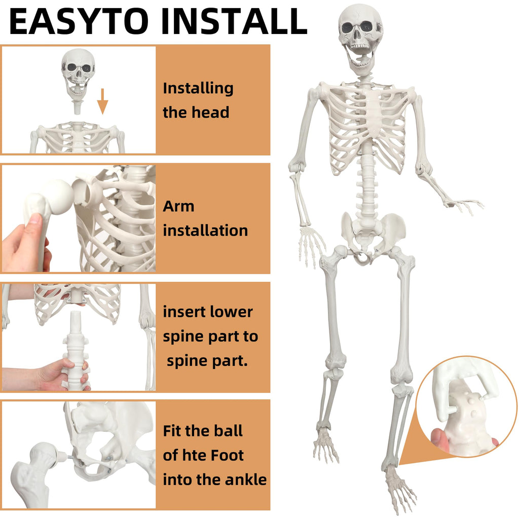 2 Pack 5.4ft Life Size Skeleton with Movable Joints K76899