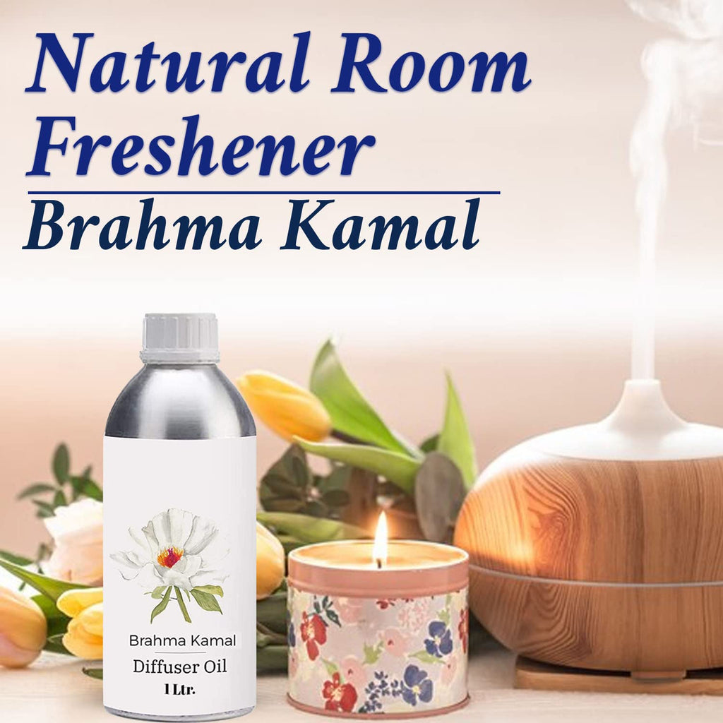 Diffuser Oil 1L K769