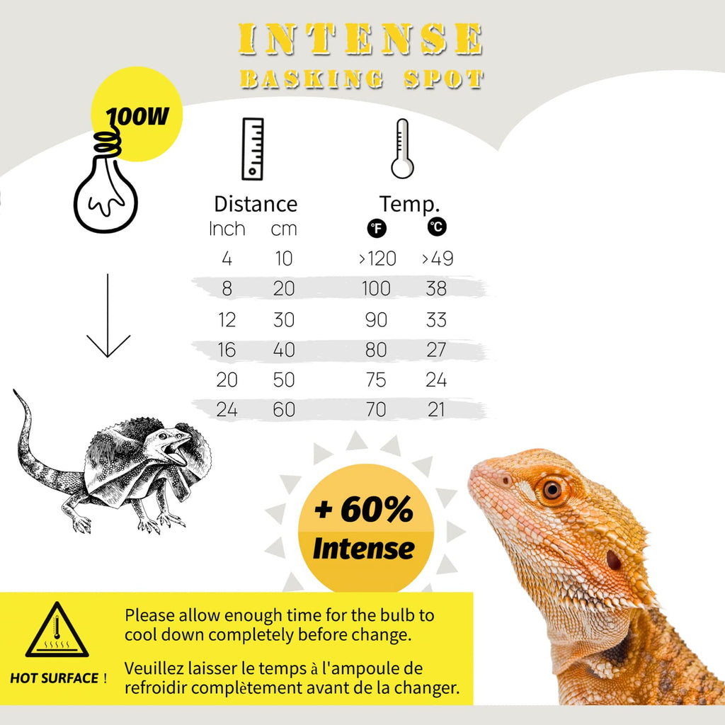 Reptile Light Fixture and Heat Lamp Bulb I433