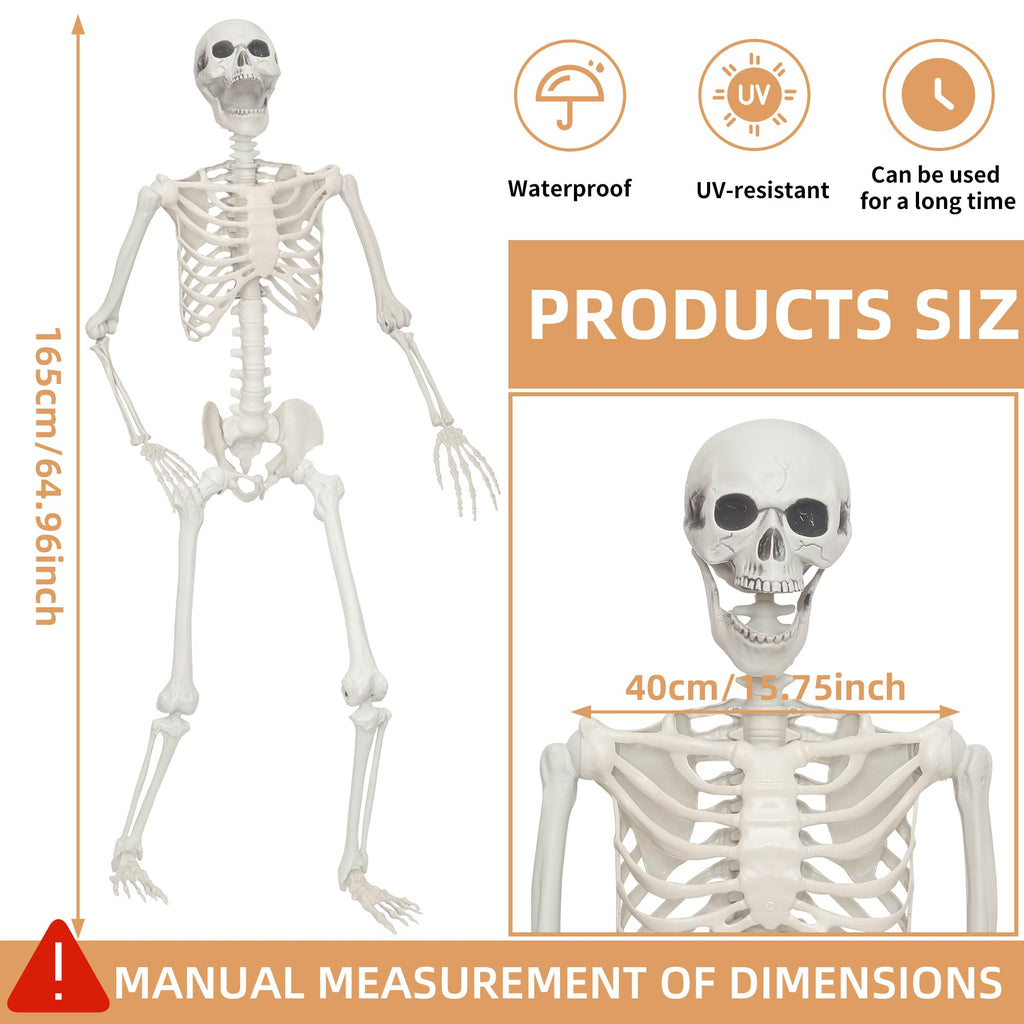 2 Pack 5.4ft Life Size Skeleton with Movable Joints K76899