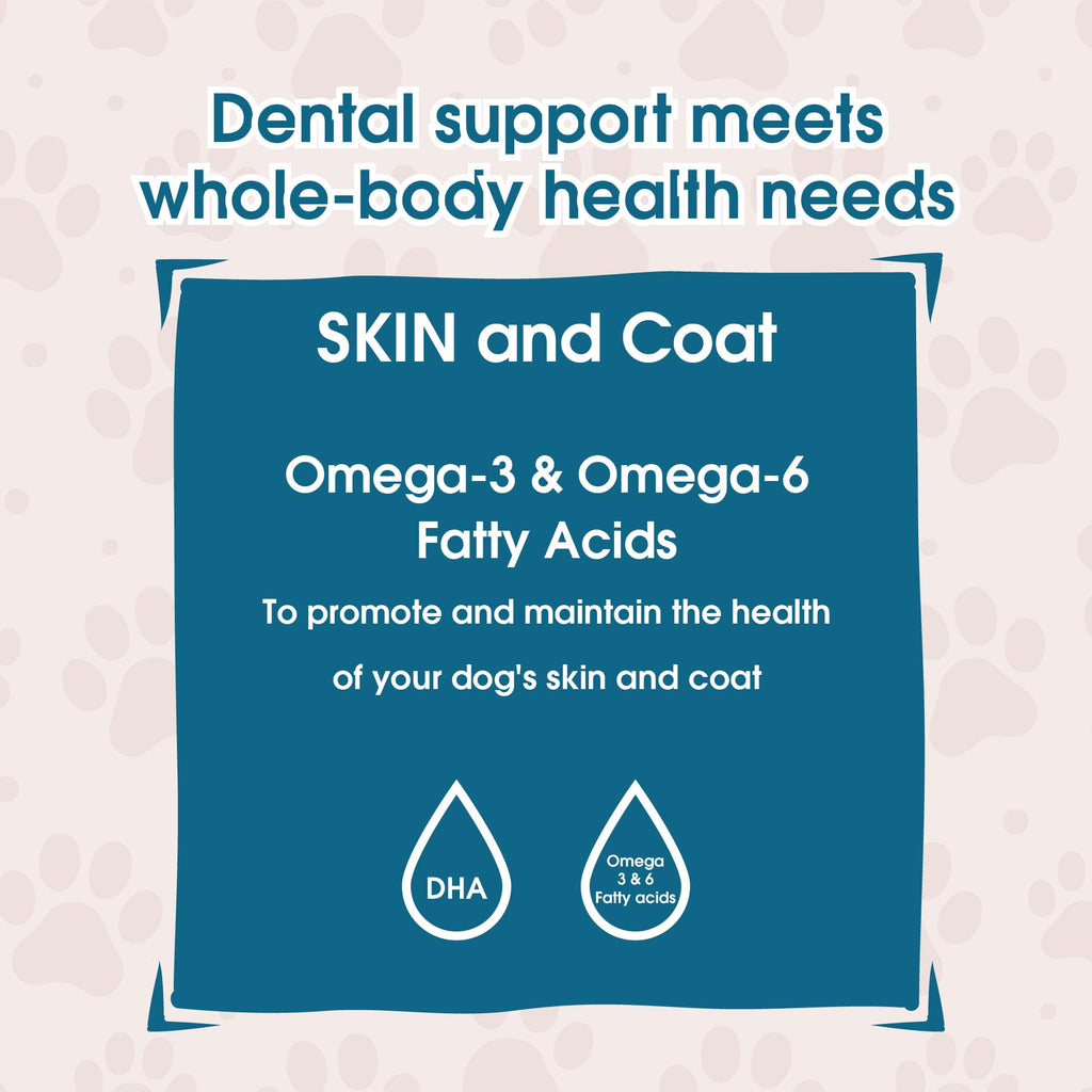 Grain Free Dental Chew Sticks A653548
