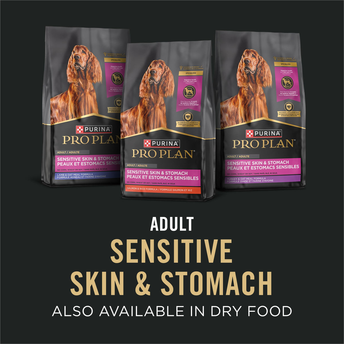Sensitive Skin & Stomach Wet Dog Food Salmon 13 oz N149