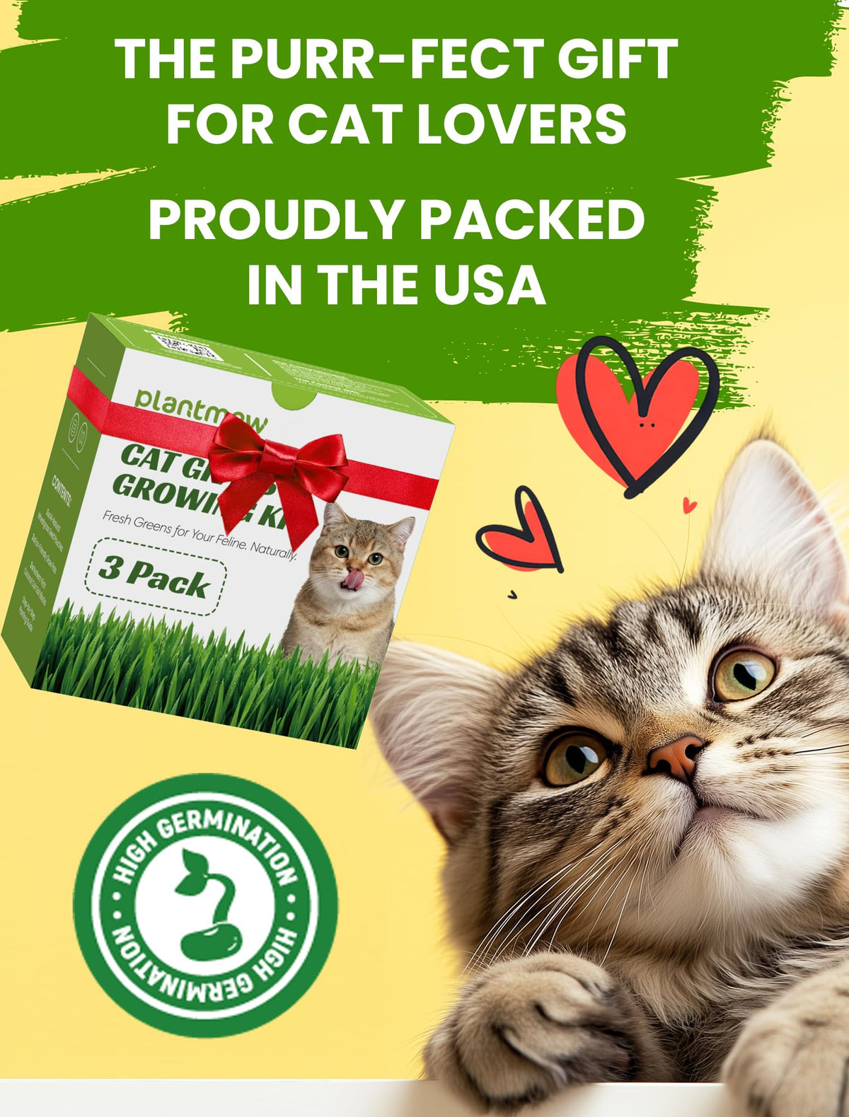 3 Pack Cat Grass Kit with Biodegradable Pots, Soil & Seeds K963383