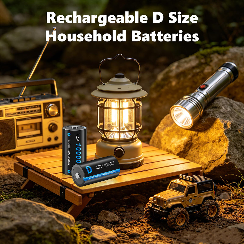 4 Pack Rechargeable D Batteries 10000mAh J852