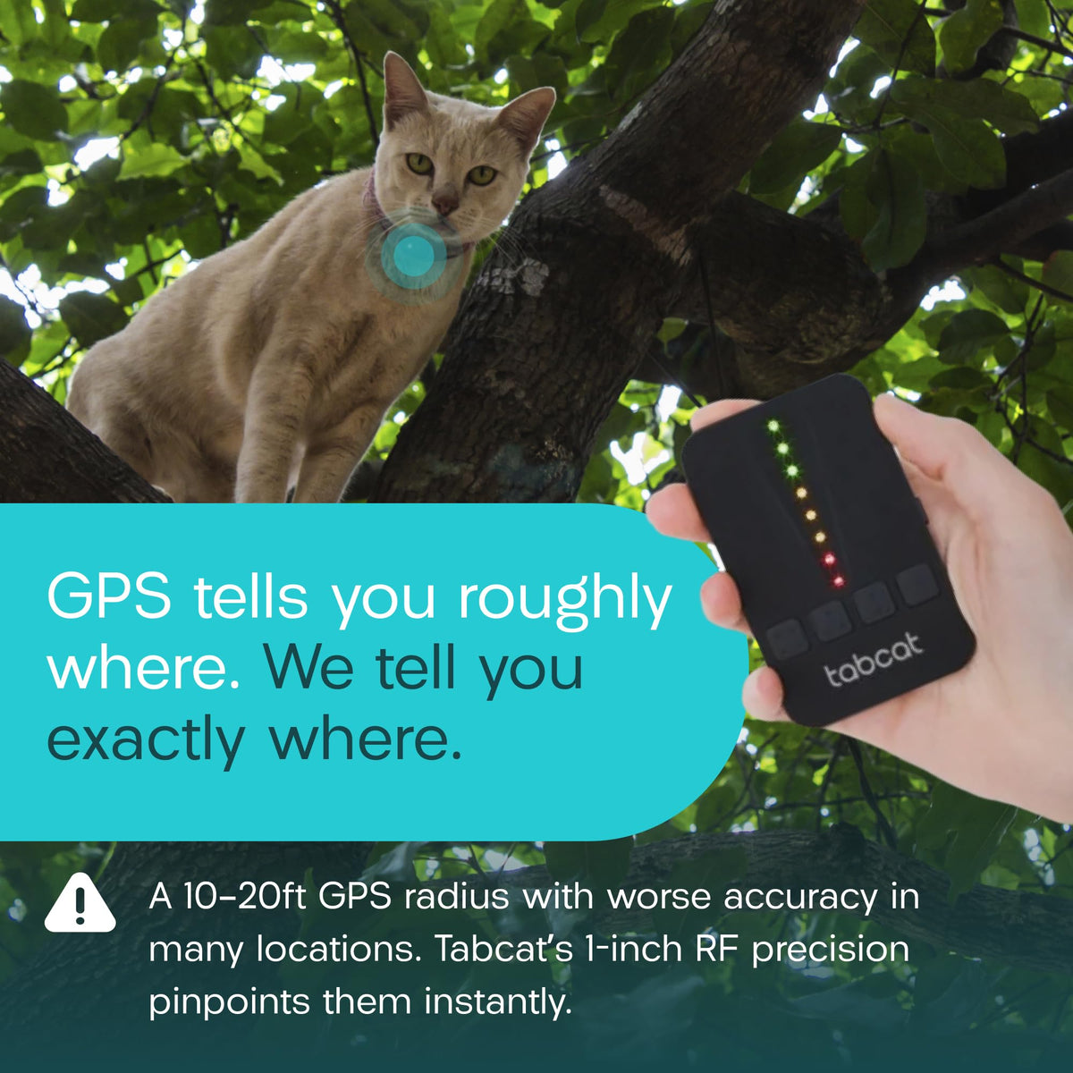 Cat & Kitten Tracker with 4 Homing Tags A73093