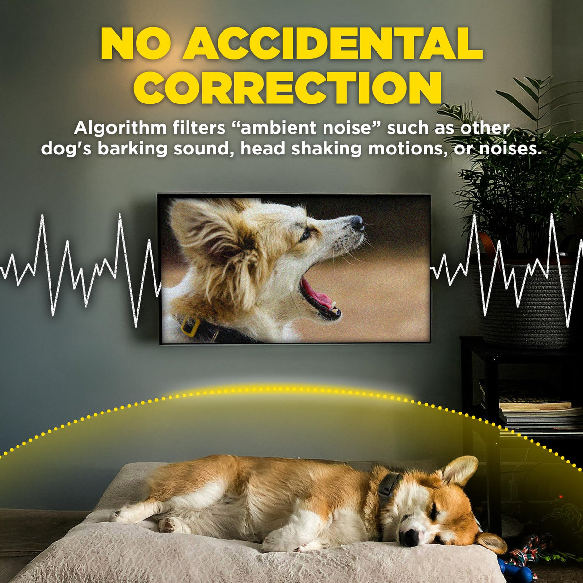 Waterproof E-Collar for 10 lb Dogs M283585
