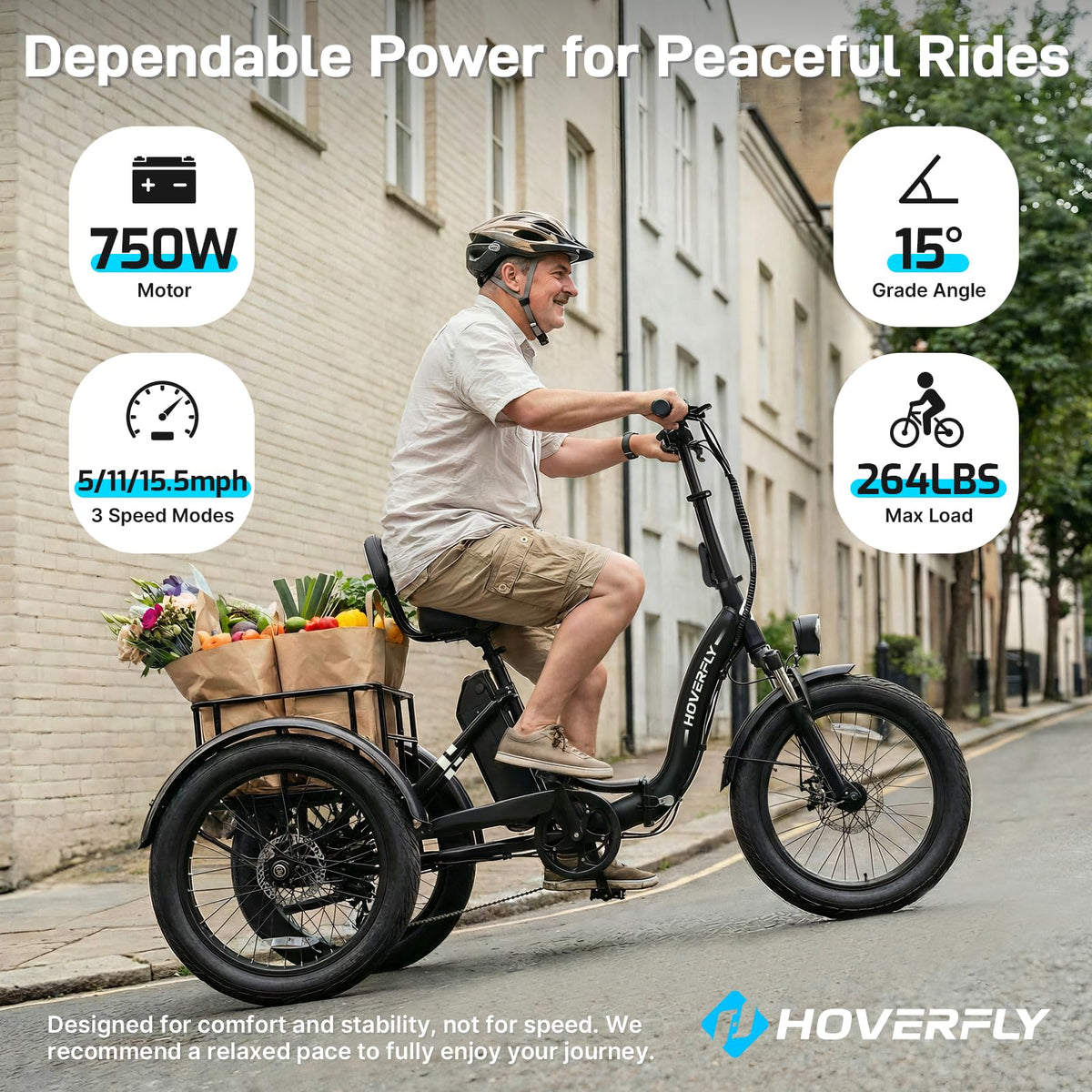 Electric Tricycle for Adults 750W Peak Motor 20"x3" Fat Tire P881