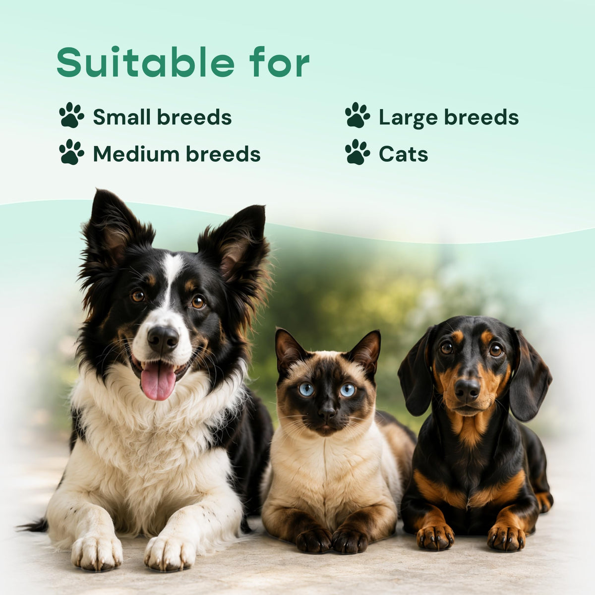 Liquid Immune Support for Dogs & Cats 2 fl oz X306