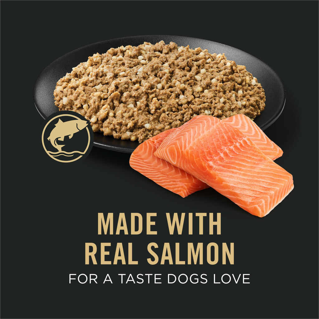 Sensitive Skin & Stomach Wet Dog Food Salmon 13 oz N149