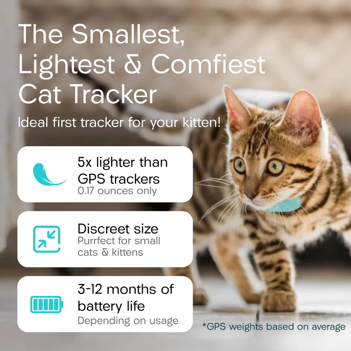 Cat & Kitten Tracker with 4 Homing Tags A73093