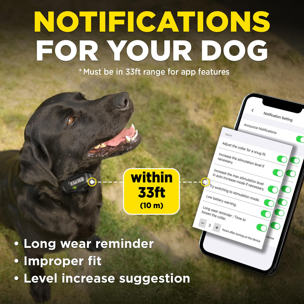 Waterproof E-Collar for 10 lb Dogs M283585