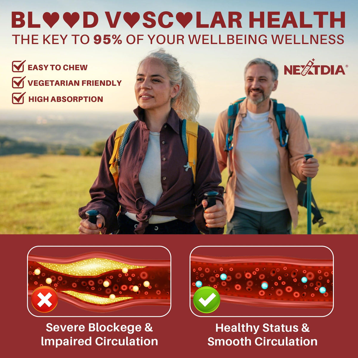 Red Yeast Rice Gummies 2400MG with CoQ10 Q791834
