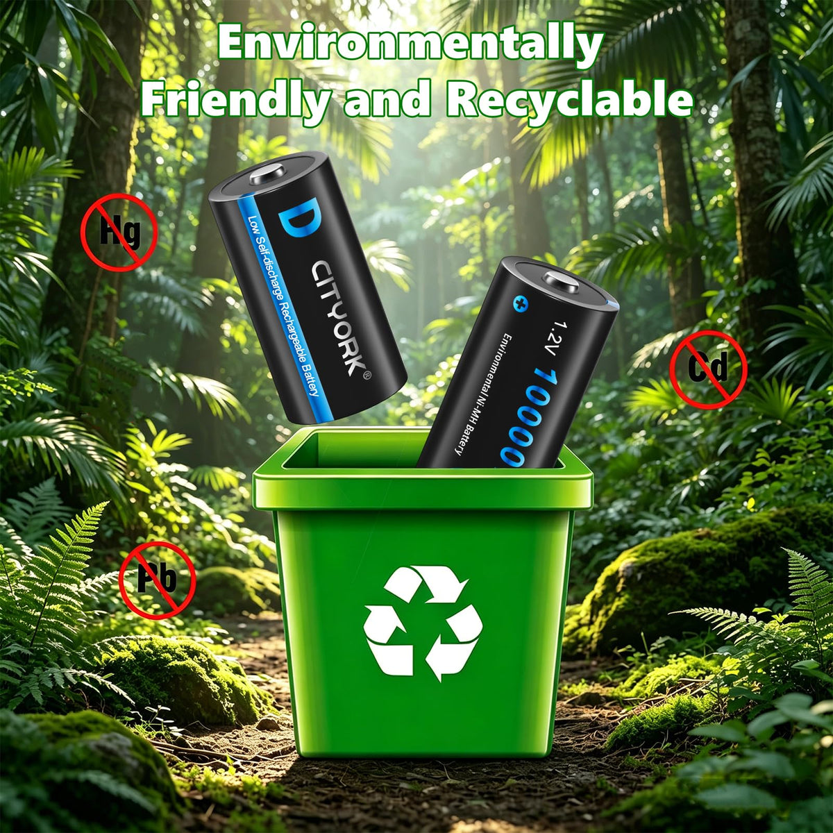 4 Pack Rechargeable D Batteries 10000mAh J852