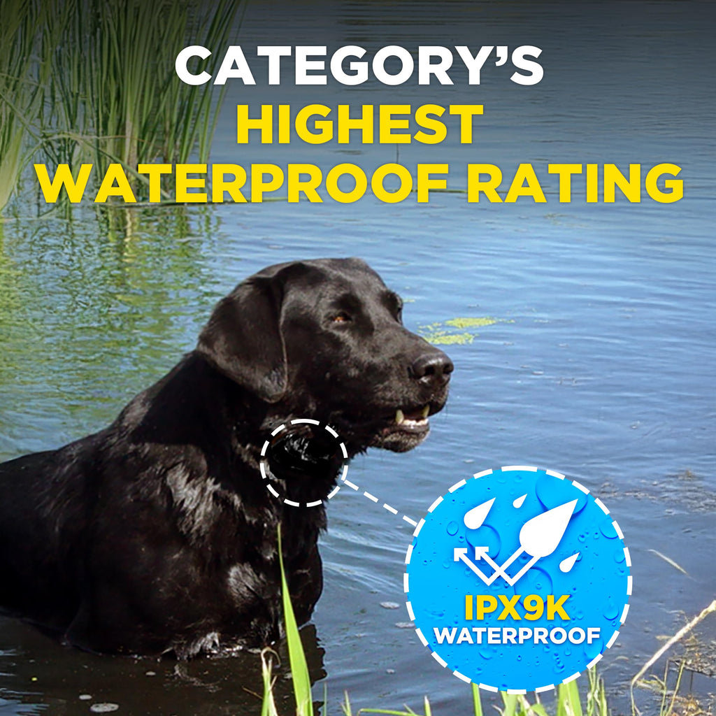 Waterproof E-Collar for 10 lb Dogs M283585