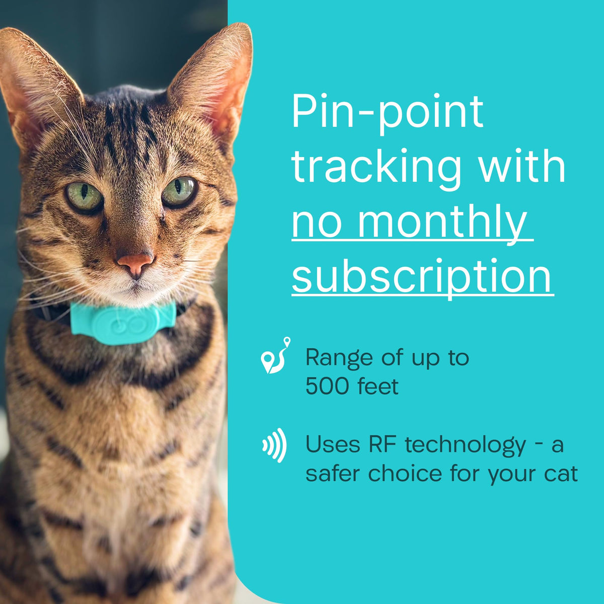 Cat & Kitten Tracker with 4 Homing Tags A73093