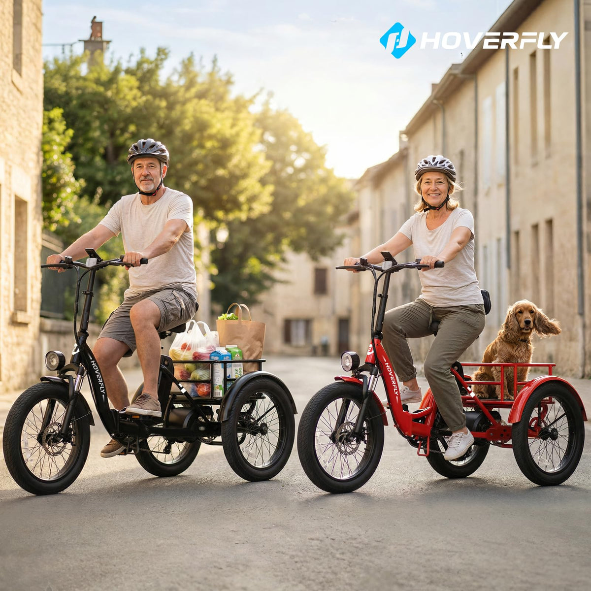 Electric Tricycle for Adults 750W Peak Motor 20"x3" Fat Tire P881