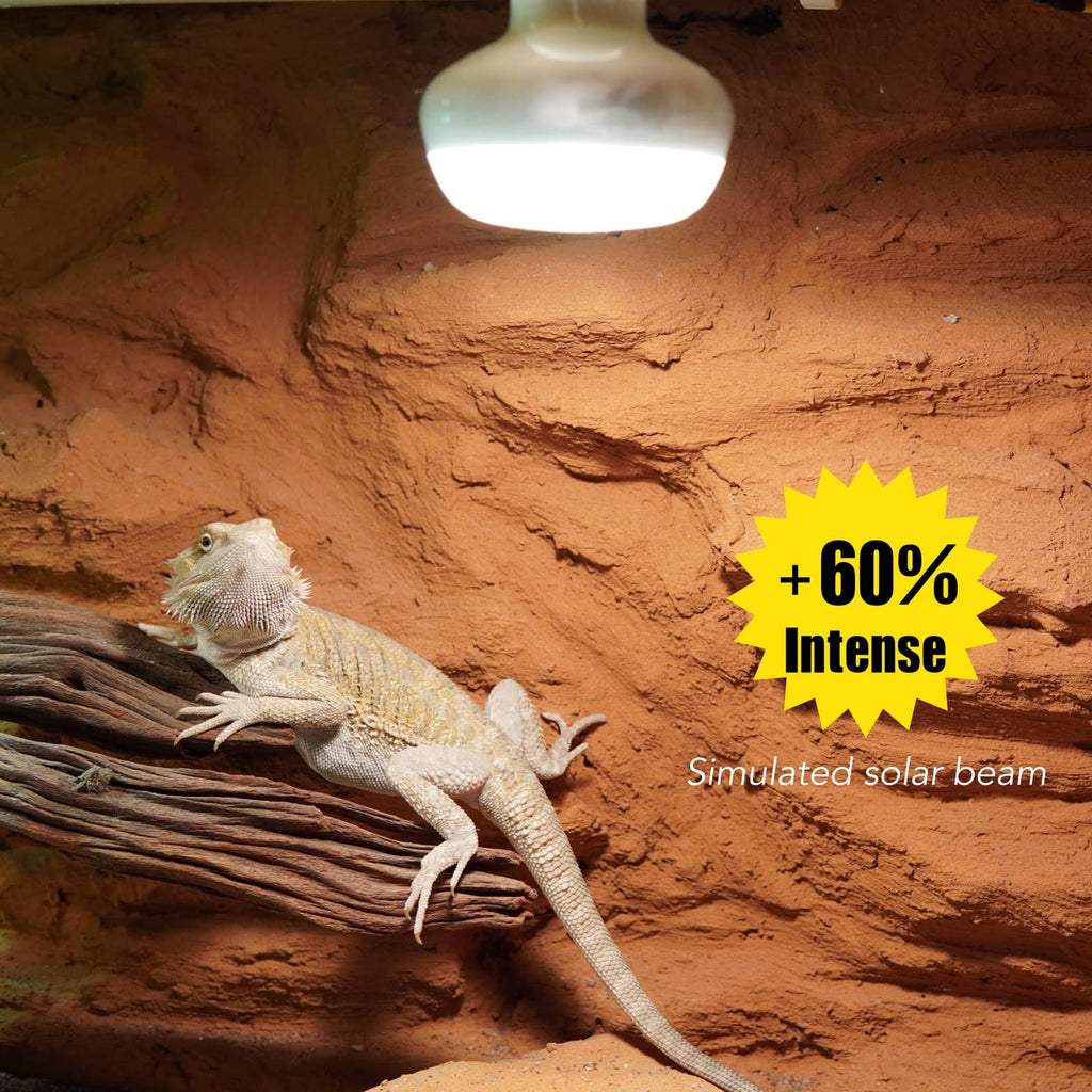 Reptile Light Fixture and Heat Lamp Bulb I433