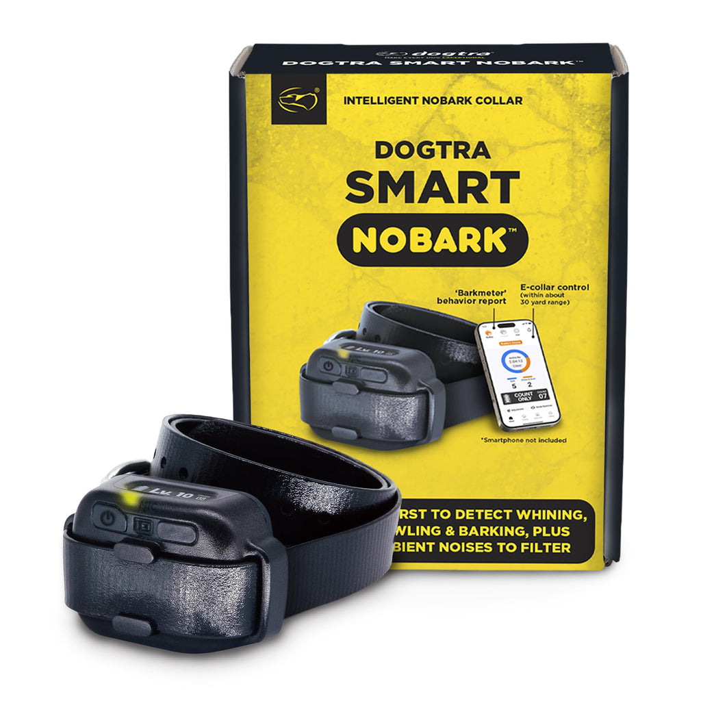 Waterproof E-Collar for 10 lb Dogs M283585