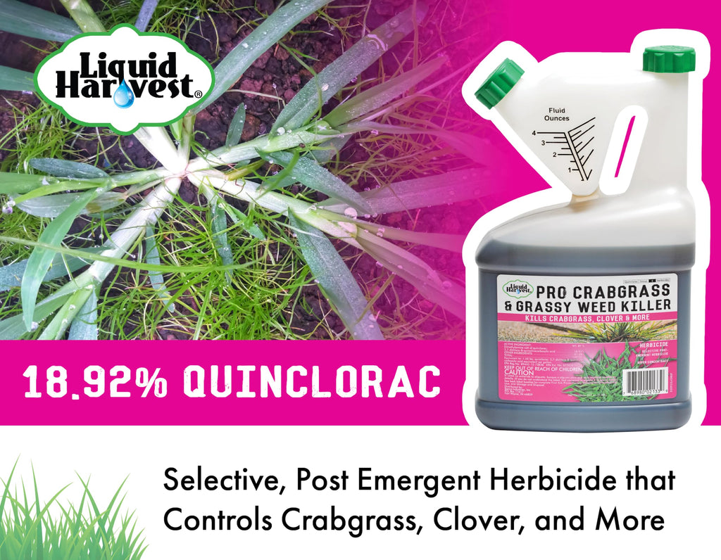 Crabgrass & Grassy Weed Killer 64 Ounces Quinclorac F345