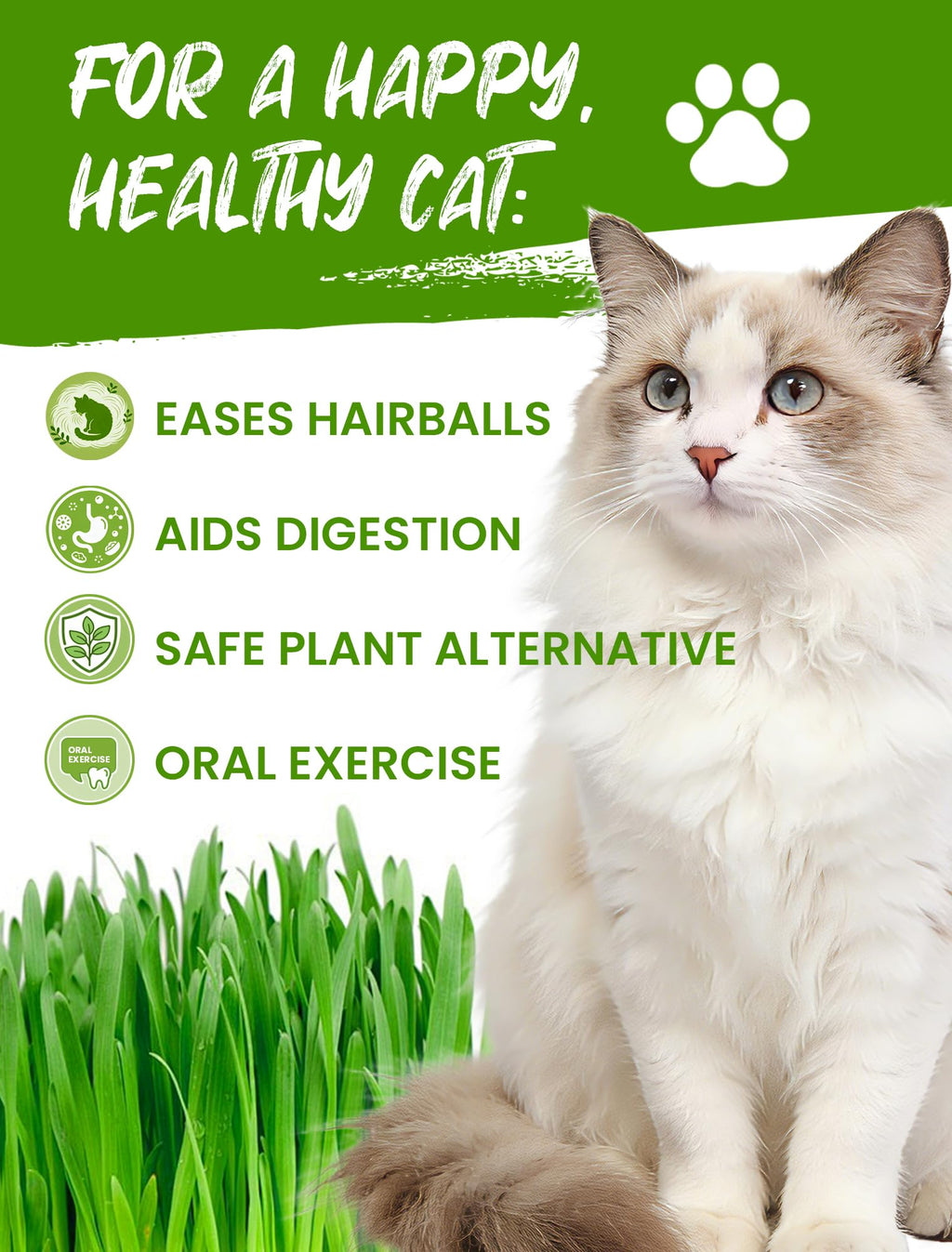 3 Pack Cat Grass Kit with Biodegradable Pots, Soil & Seeds K963383