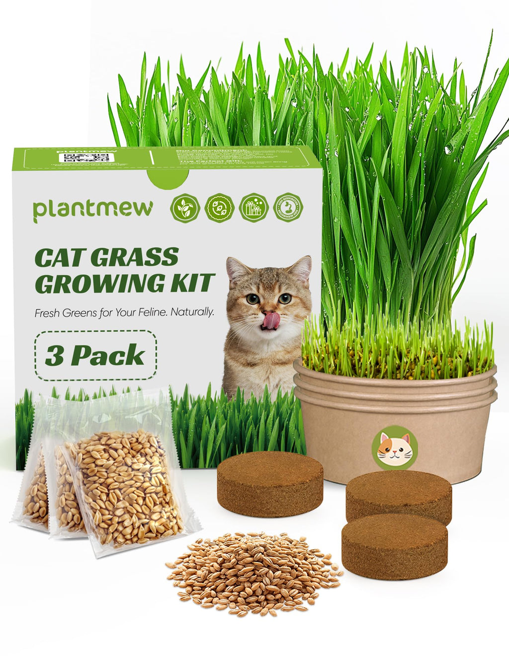 3 Pack Cat Grass Kit with Biodegradable Pots, Soil & Seeds K963383