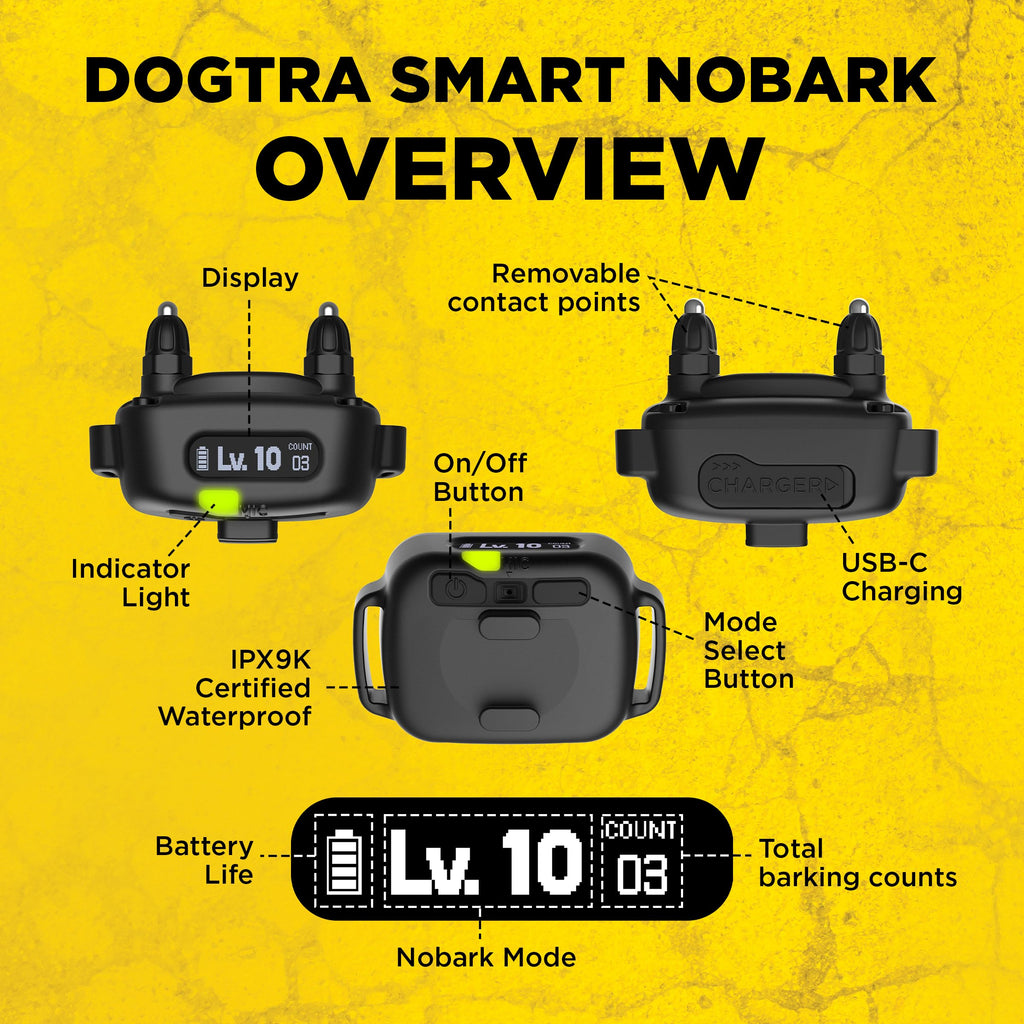 Waterproof E-Collar for 10 lb Dogs M283585