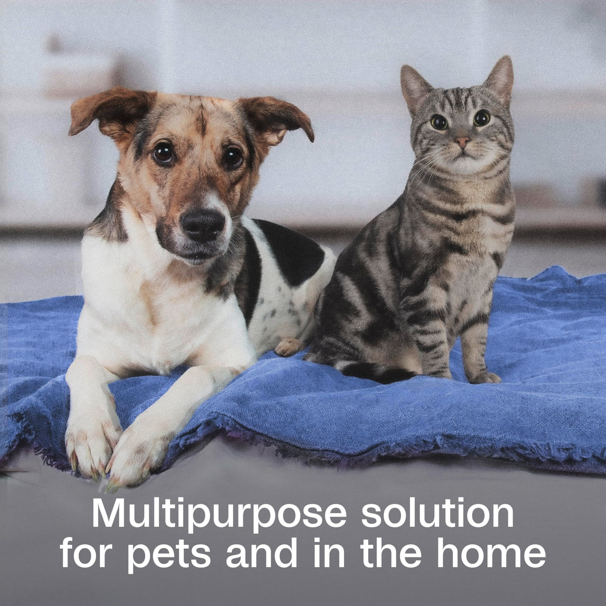 Flea & Tick Pet & Home Spray, 16 Oz Y97807
